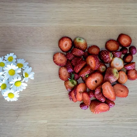 公寓式酒店 伊斯坦布尔阿达之家公寓 伊斯坦布尔