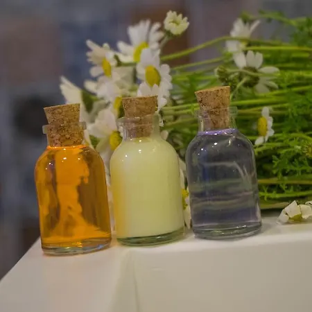 公寓式酒店 伊斯坦布尔阿达之家公寓