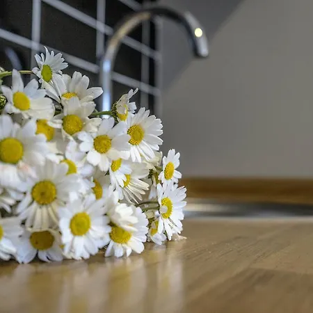 伊斯坦布尔阿达之家公寓