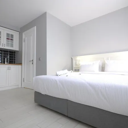 公寓式酒店 伊斯坦布尔阿达之家公寓