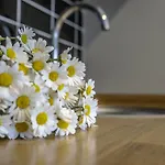 Ada